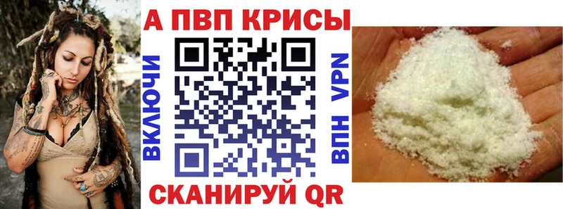 A PVP СК  Прокопьевск 