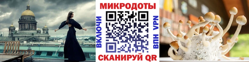 Галлюциногенные грибы ЛСД  мега как зайти  Прокопьевск 