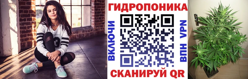 Бошки марихуана THC 21%  Прокопьевск 